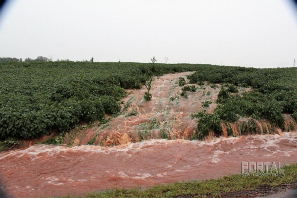 A imagem é de uma lavoura de soja afetada pelas chuvas. (Foto: Portal Nova Santa Rosa)