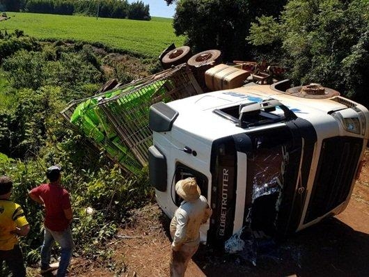 O caminhão estava transportando mais de cinco mil frangos de um aviário