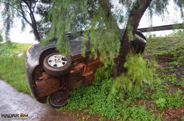 A condutora perdeu o controle da direção, desceu um barranco e parou ao atingir uma árvore. (Foto: Bogoni)