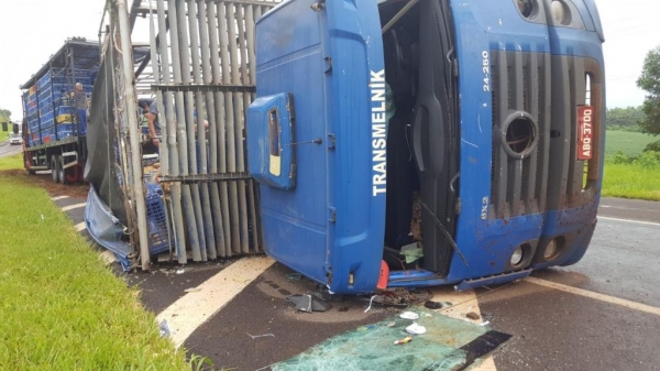 O motorista não se feriu.(Foto:CGN)