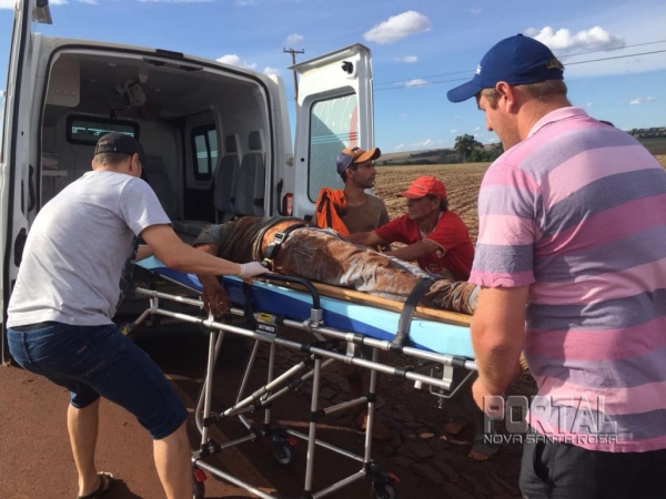 Ademir Silveira entrou em óbito após a colisão. (Foto: Portal Nova Santa Rosa)