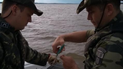 Foto: Polícia Ambiental