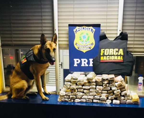A apreensão foi na noite de sábado (24). (Foto: PRF)