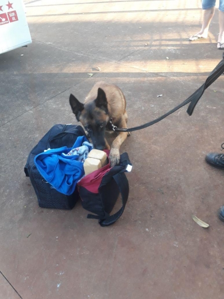 Um menor foi apreendido. (Foto: BPFron)