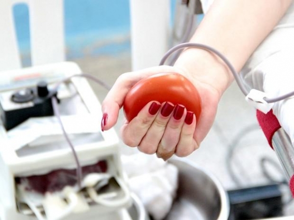 Conforme Nilson, o poder público tem o dever de estimular a doação de sangue, concedendo benefícios aos doadores. (Foto: Globo.com)