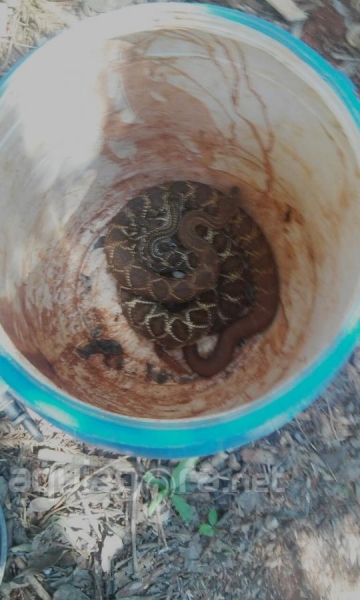 (Foto: AquiAgora.net )