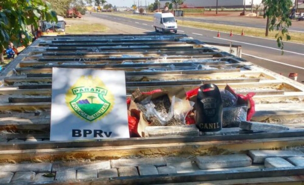 PRE apreendeu maconha que estava escondida em teto falso de caminhão frigorífico, nesta quarta-feira (11), em Rolândia (Foto: PMPR/Divulgação)