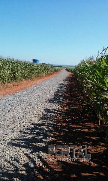 Estrada do Milton Wochner., Alto Santa Fé. (Foto: Colaborador)
