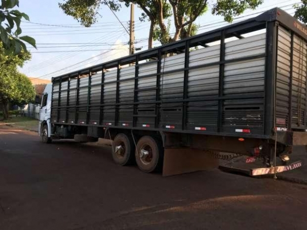 Ele carregava um carga com 44 cabeças de gado e não possuía documentação necessária para transporte animal. (Foto: Catve)