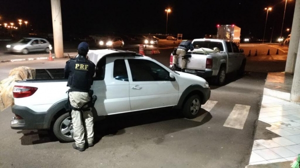 O grupo confessou que vendia os produtos ilegais. (Foto: PRF)