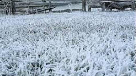 As mudanças começam já nesta sexta-feira (18). (Foto: Divulgação)