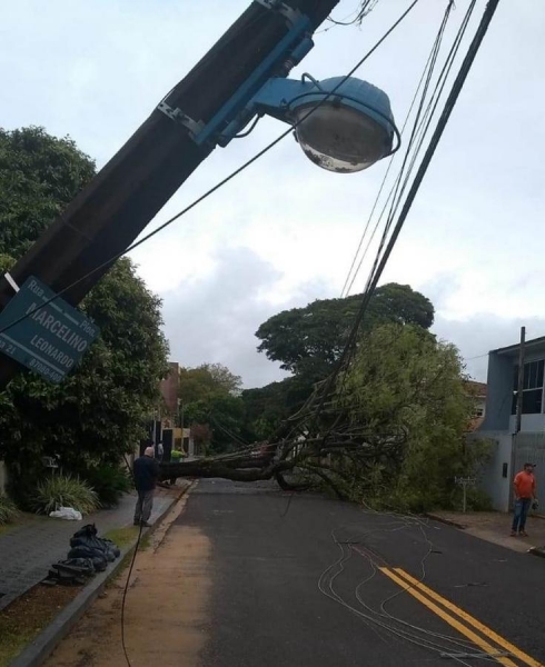 Chuvas fortes derrubam árvores e causam estragos em cidades do Paraná (Foto: Divulgação/Defesa Civil )