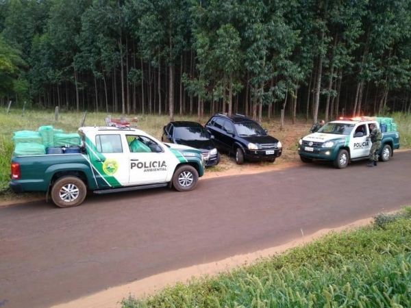 Nenhum suspeito foi encontrado no local.(Foto: PM)