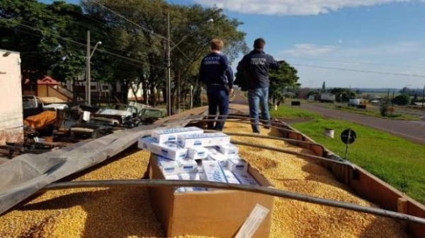 O contrabando estava escondido em meio a uma carga se milho.(Foto:Catve)