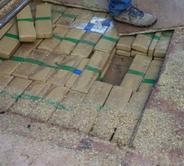 As 7 toneladas de maconha estavam em meio a carga de soja - Foto: PF/Divulgação