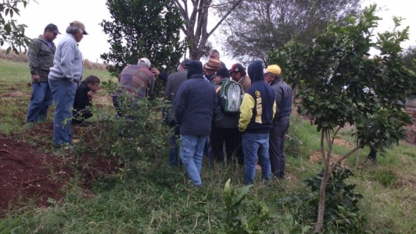 O técnico da Biolabore ressalta que a região Oeste do Paraná apresenta climas variados de temperado para subtropical (Foto: Divulgação )