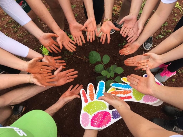 A iniciativa escolhida pela agência foi o plantio de mudas de flores  e de árvores . (Fotos: Divulgação)
