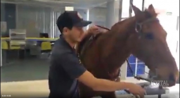 Um dos clientes fez um vídeo e o distribuiu nas redes sociais.(Imagens a Rede)