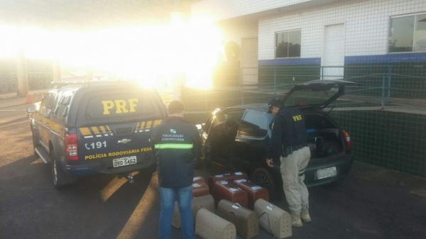 Os animais e os dois homens foram encaminhados para a Polícia Federal de Guaíra.(Foto: PRF)