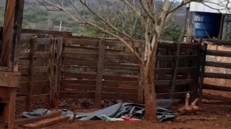 A vítima sofreu queimaduras em algumas partes do corpo.(Foto: Tribuna Popular)