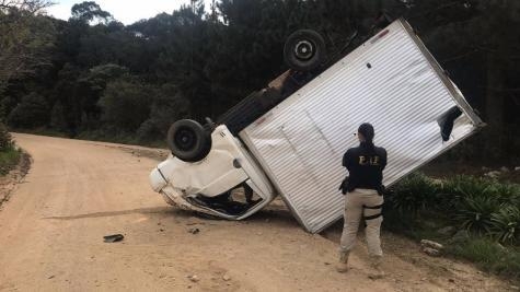 A ação aconteceu durante um trabalho rotineiro na rodovia BR-277. (Foto:PRF)