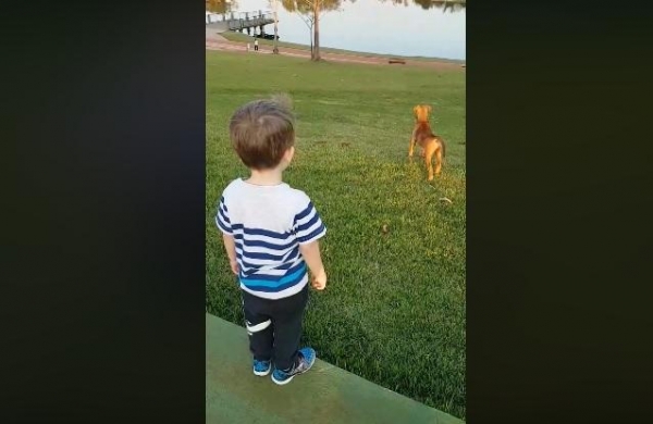 Está saindo lágrima do meu olho de tão fofinho isso, diz o pequeno que vem ganhando as redes sociais. (Foto: Reprodução)