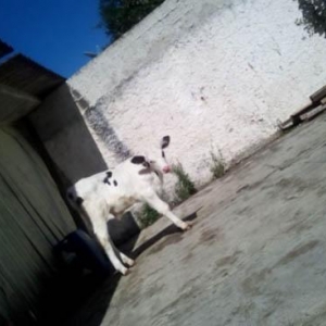 (Foto: Arquivo pessoal)