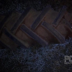 Geada registrada em  Palotina. (Fotos: Renan Gênero)