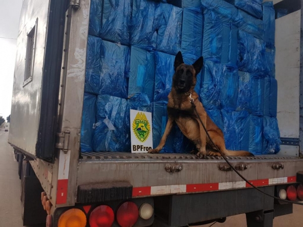 As apreensões de cigarros pelo BPFron registrou um crescimento superior a 700%. (Fotos: BPFron)