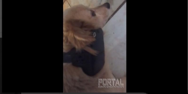 O dono do equipamento foi pego numa praça pública no Centro da cidade. (Foto: Reprodução)