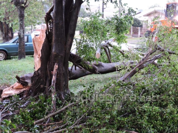 Durante a manhã equipe do Corpo de Bombeiros foi acionada para retirar galhos e árvores que caíram devido à chuva e vento da noite (Foto: Fernanda Bourscheidt/AquiAgora.net )