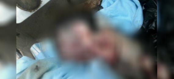 Foto  Blog Meia Hora Noticias 