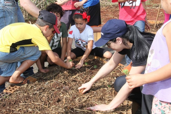 A horta mandala criada no espaço tem os canteiros em formato circular. (Fotos: Assessoria)