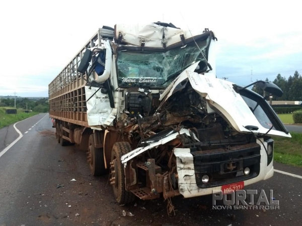O condutor do caminhão boiadeiro dormiu na direção. (Fotos: PRF)