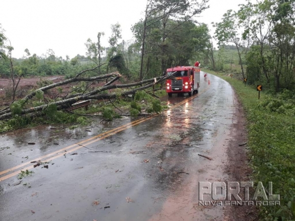 Várias árvores caíram nas rodovias. (Foto: PRE)