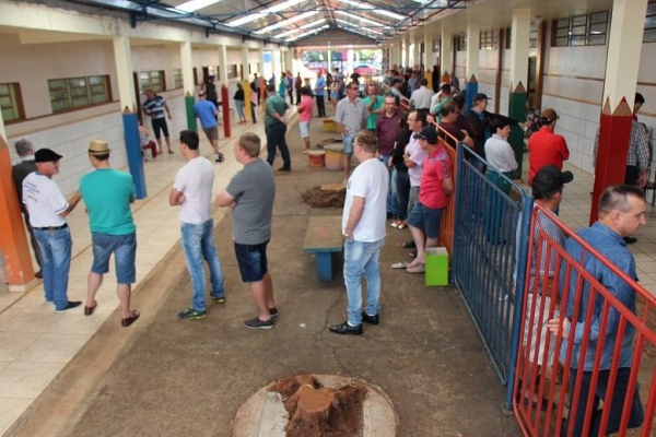 Muitas pessoas escolheram votar logo cedo. (Fotos: Portal Nova Santa Rosa)