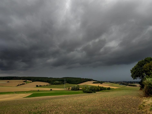 Altônia, Guaíra e Terra Roxa. (Foto: Divulgação)