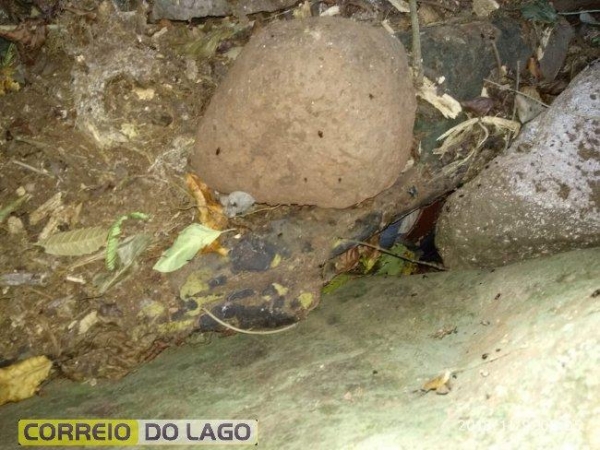 Foto: Correio do Lago