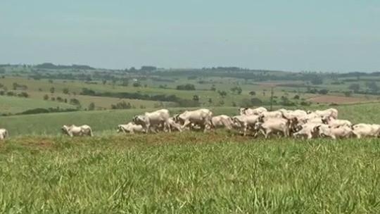 Uma das vítimas teve um prejuízo de R$ 60 mil, de acordo com as investigações.(Foto: Reprodução)