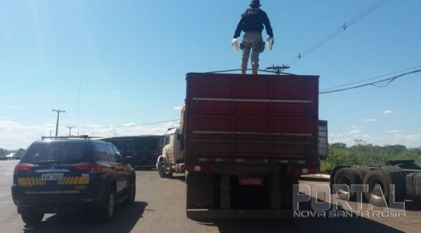 O condutor disse a polícia que a carga seria para Toledo. (Fotos: PRF)