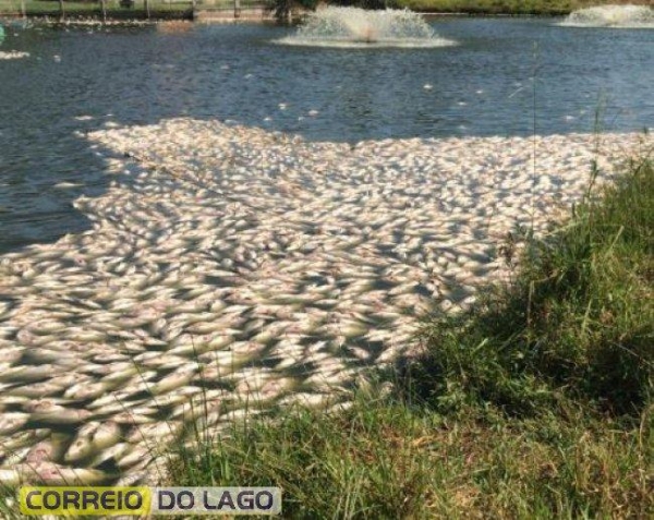 Foto: Correio do Lago