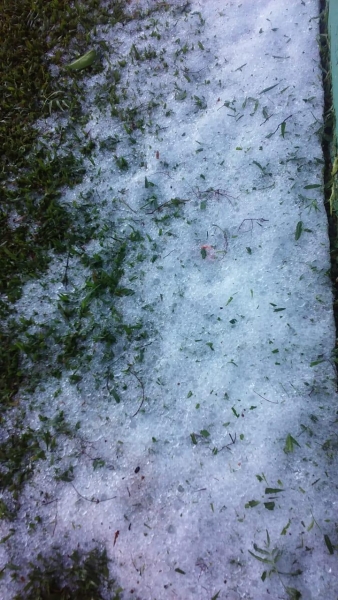 Fotos: Dirso dos Santos