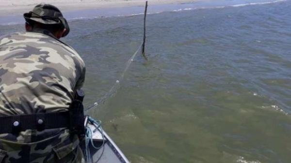 Fiscalização de crimes ambientais aconteceu nas cidades de Paranaguá, Antonina, Guaraqueçaba e na Ilha do Mel. (Foto: Assessoria)