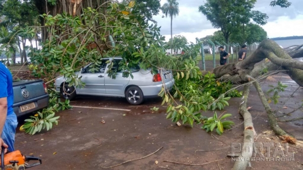 Um galho caiu sobre os carros estacionados. (Foto: Colaborador)