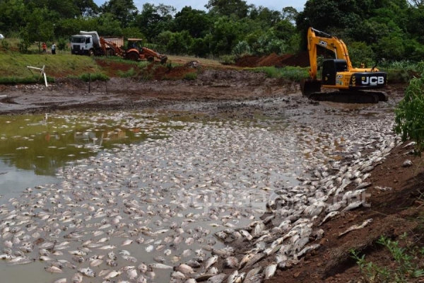Com a falta de oxigênio, por conta dos aeradores que pararam de funcionar, cerca de 50 toneladas de peixes acabaram morrendo em dois tanques da propriedade (Foto: Cristine Kempp/AquiAgora.net )
