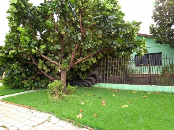 Foto: Rádio Tropical FM