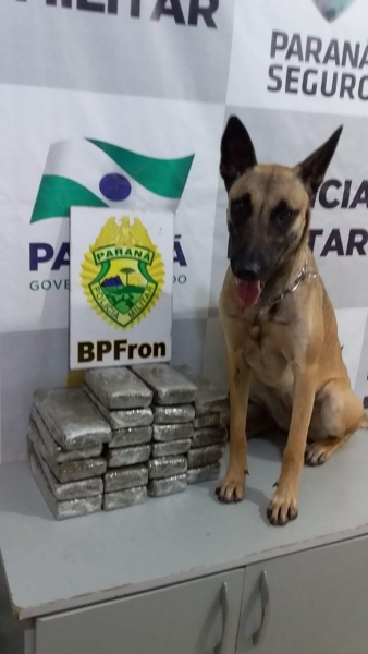 Após pesagem a droga totalizou 11.900 kg. (Foto: BPFron)