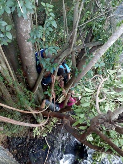 Fotos: Guarda Municipal