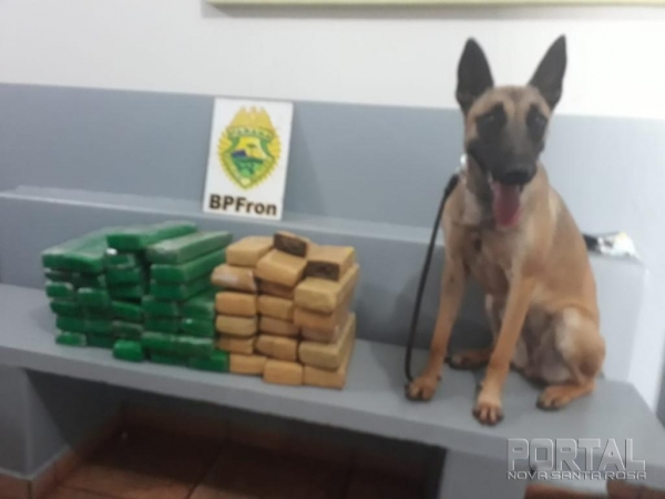 35 Kg da droga foram apreendidos. (Foto: BPFron)