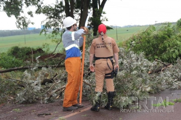 Fotos: Portal Nova Santa Rosa